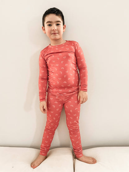 Bamboo 2-Piece Pjs - Cars