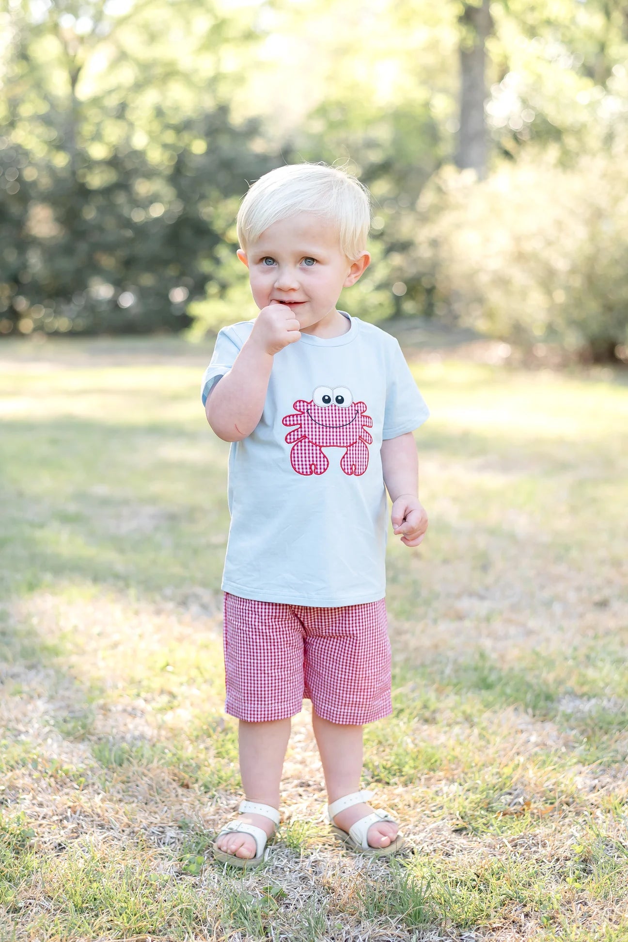 Blue Crab Shirt and Red Gingham Shorts Set