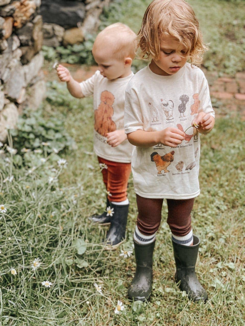 Chicken Breeds Homestead Farm Tee